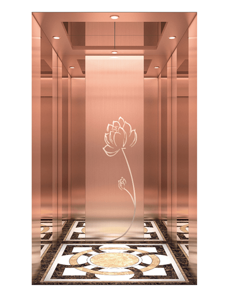Disinfection MR VIATOR Elevator Standard Configure SX-K06（Libitum)